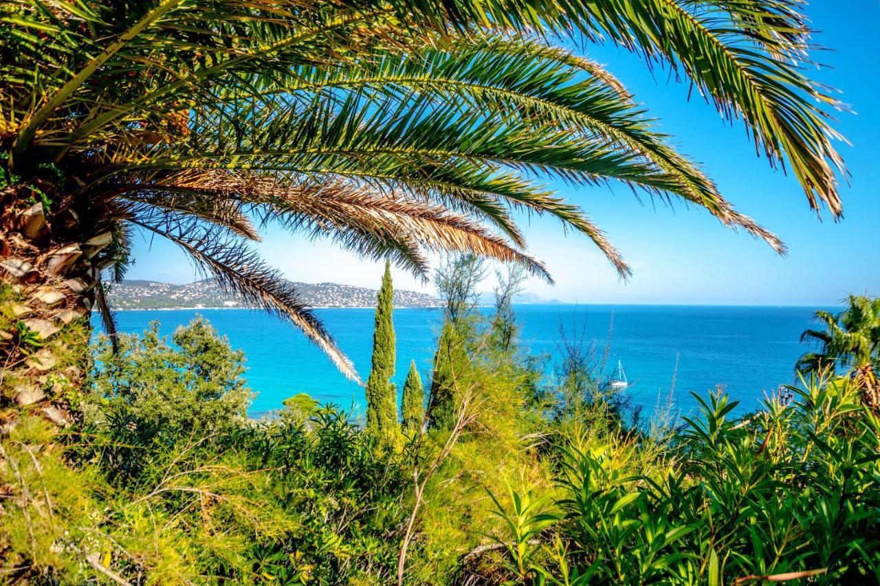 Superbe Villa, Incroyable Vue Mer, Piscine Chauffee, Climatisee Σαιντ-Μαξίμ Εξωτερικό φωτογραφία